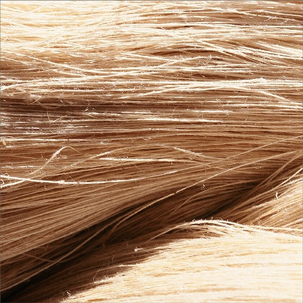 Natural Fibers